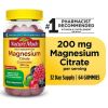 Nature Made High Absorption Magnesium Citrate 200 mg Gummies; 64 Count